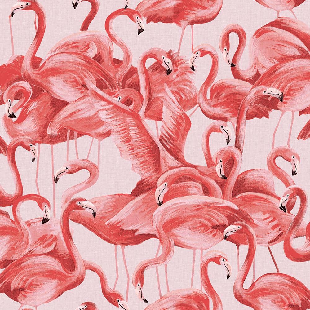 Tempaper Flamingo Cheeky Pink Peel and Stick Wallpaper (Covers 28 sq. ft.) FL10538 Home Depot