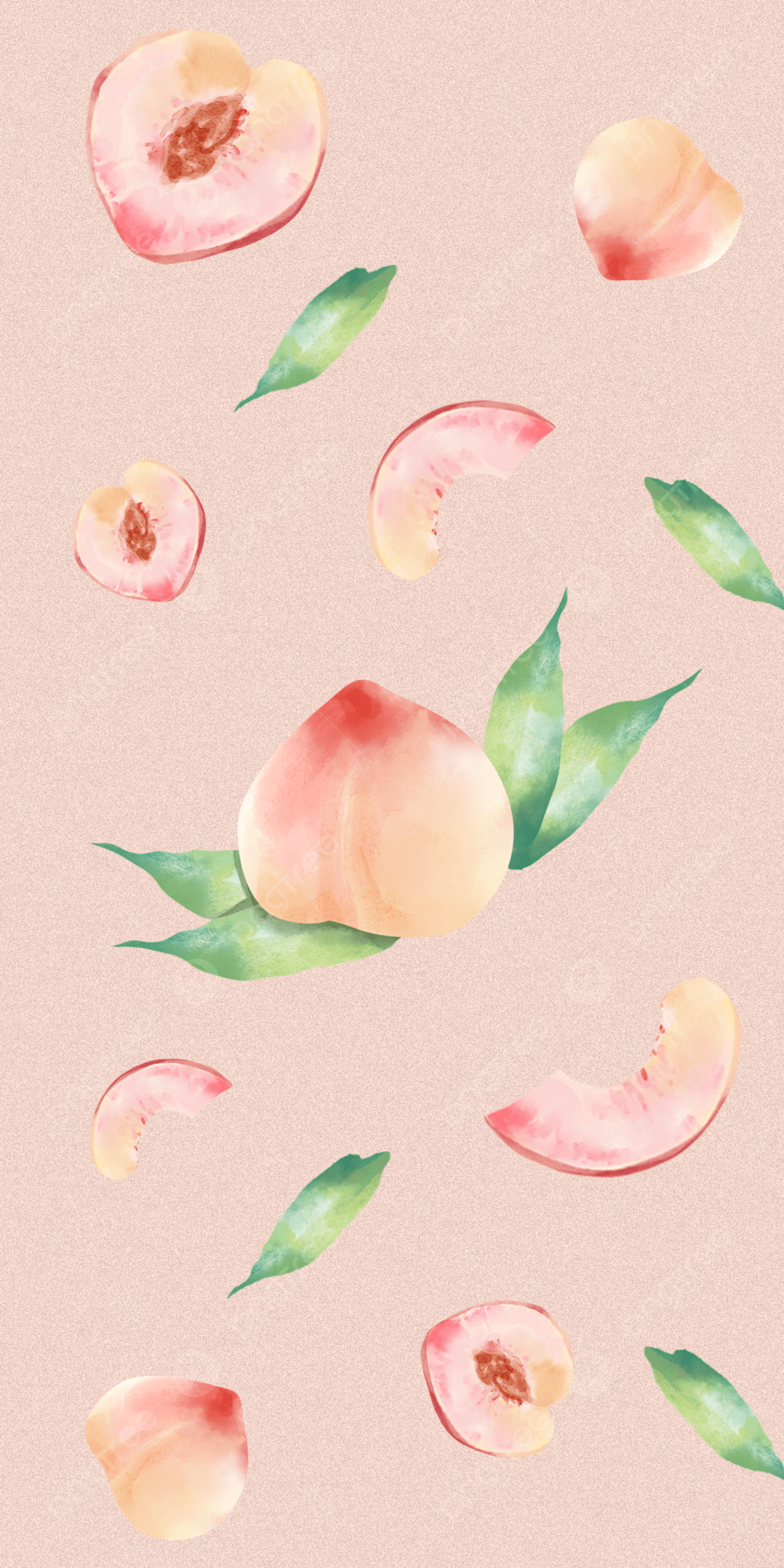 Fruit Wallpaper Watercolor Peach Background Wallpaper Image For Free Download