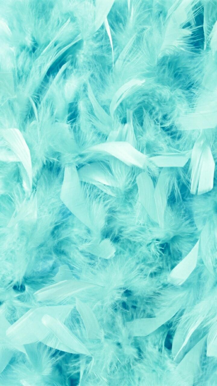 A close up of some blue feathers - Teal, turquoise