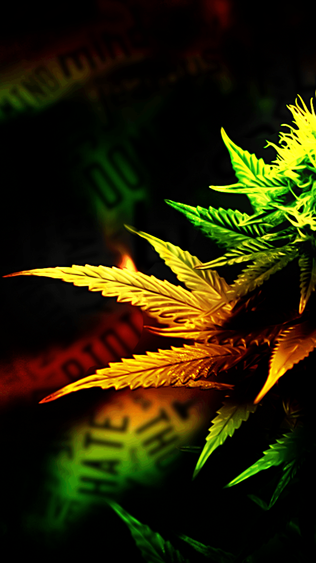 Aesthetic Marijuana Leaves Wallpaper Download