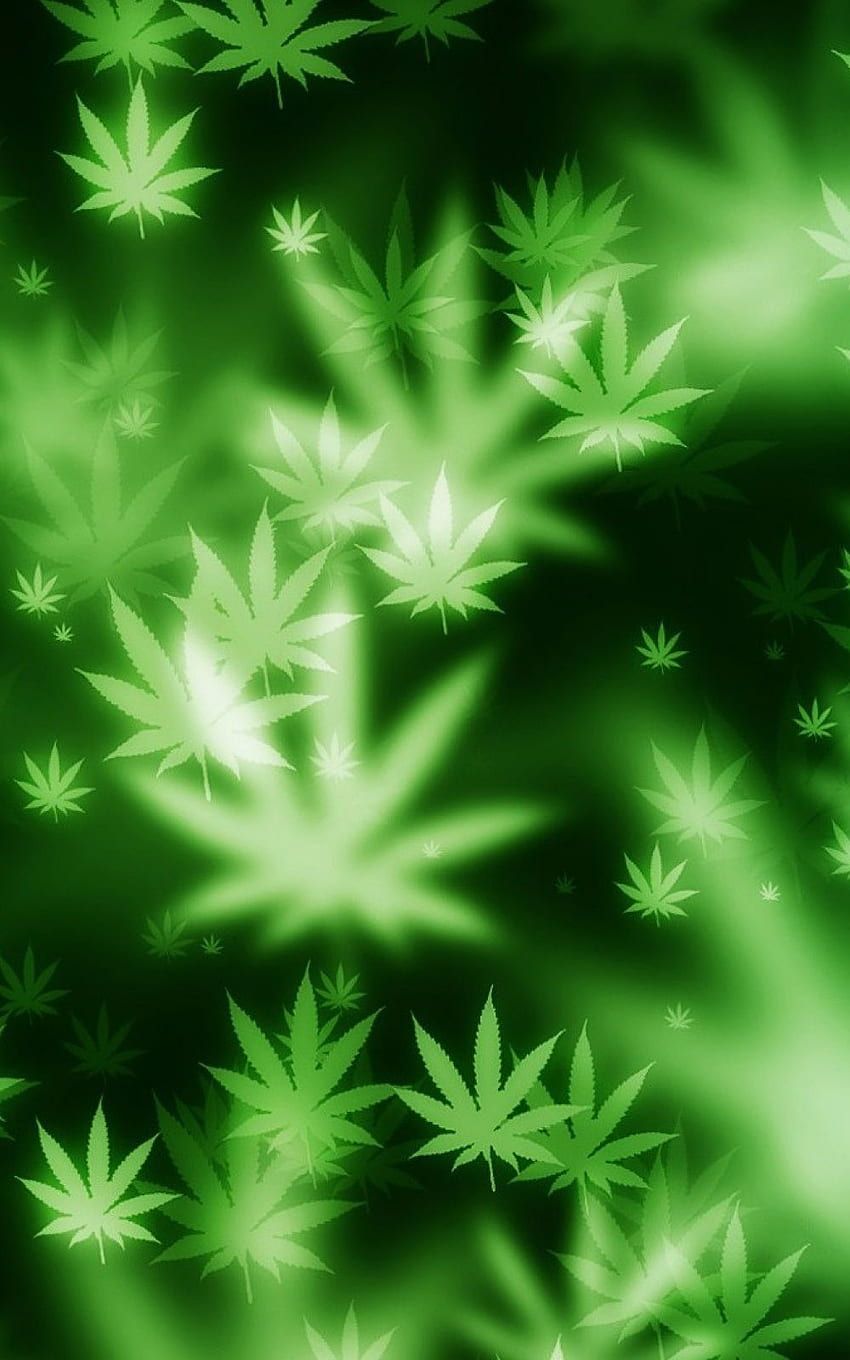 Marijuana HD wallpaper