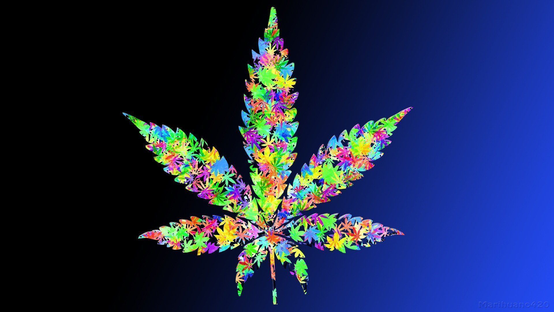 A colorful marijuana leaf on black background - Weed