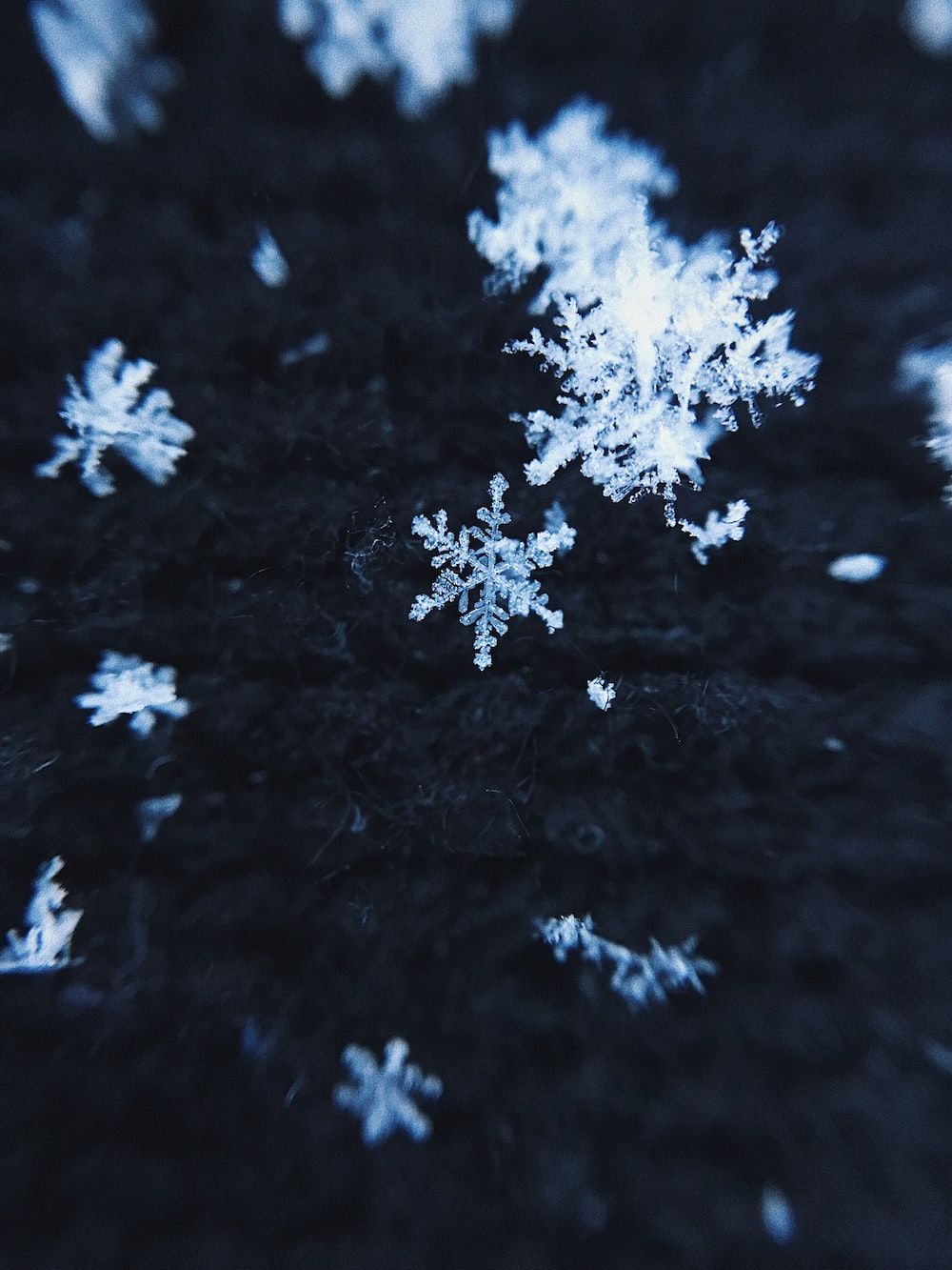 Snowflakes on a black surface - Snowflake