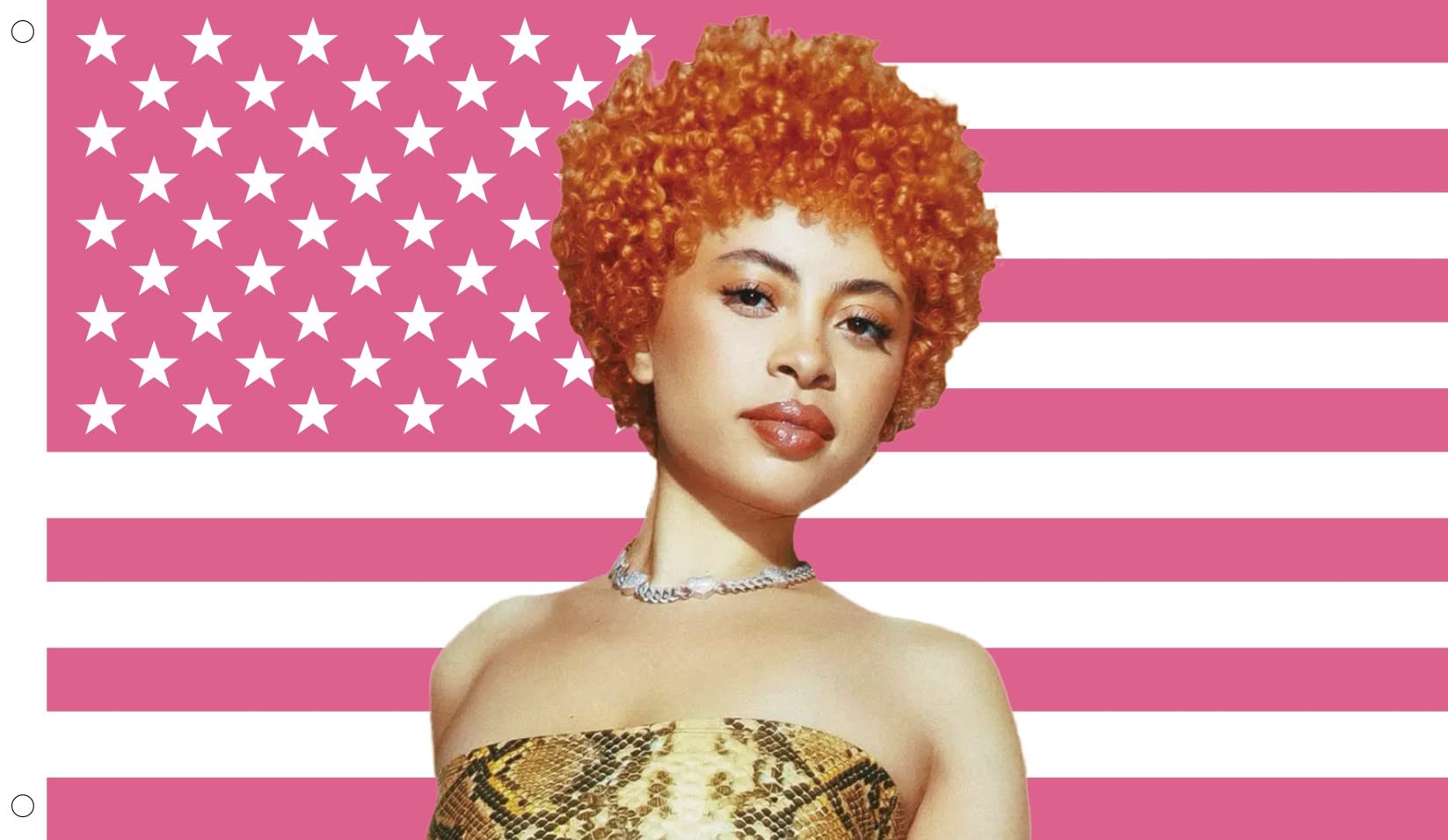 A portrait of Aaliyah, a Black woman with a short, curly orange afro, wearing a snakeskin tube top and a chunky necklace. She is standing in front of a pink flag with white stars. - Ice Spice
