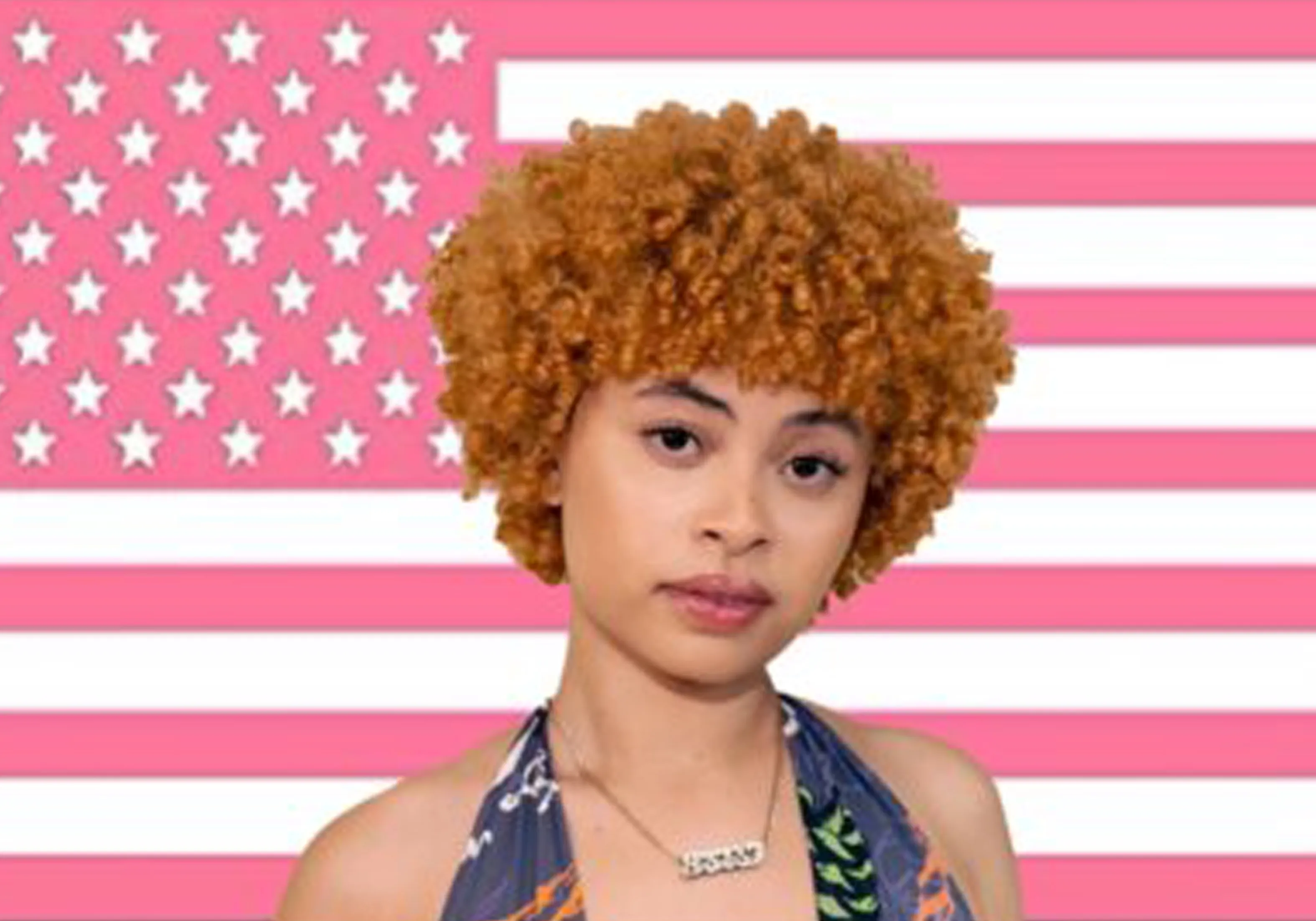 A girl with an afro hairstyle in front of the american flag - Ice Spice