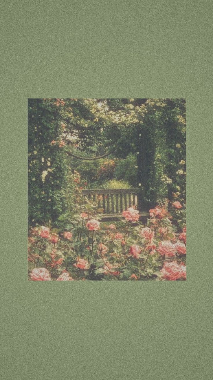 A bench in a garden with flowers - Garden