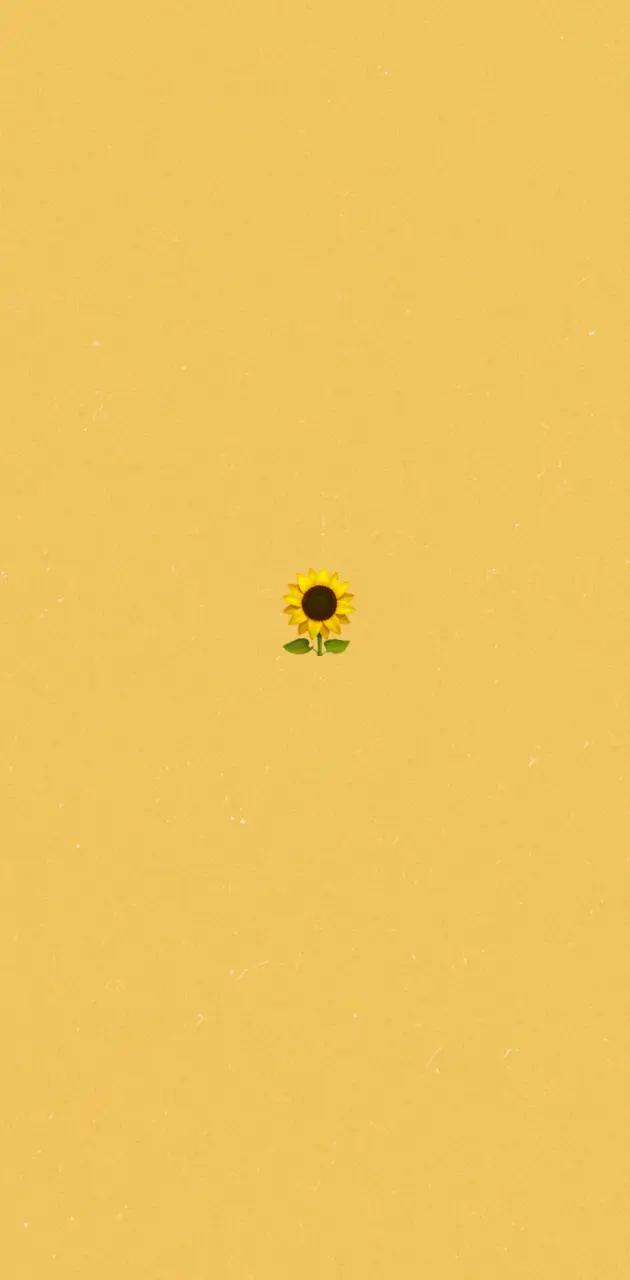 A small yellow sunflower on a yellow background - Light yellow
