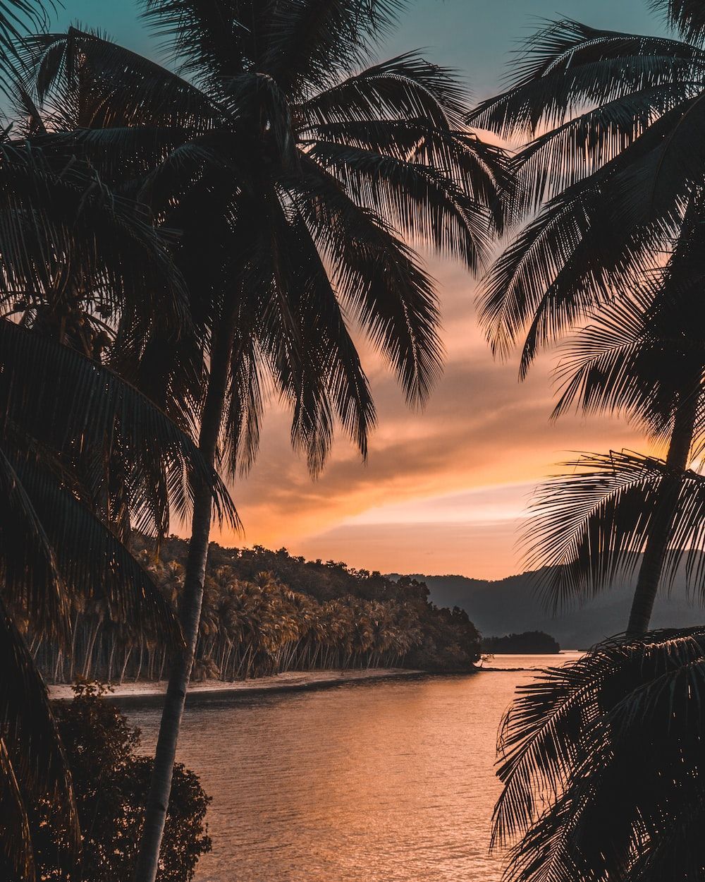 Stunning Tropical Sunset Picture [HD]. Download Free Image