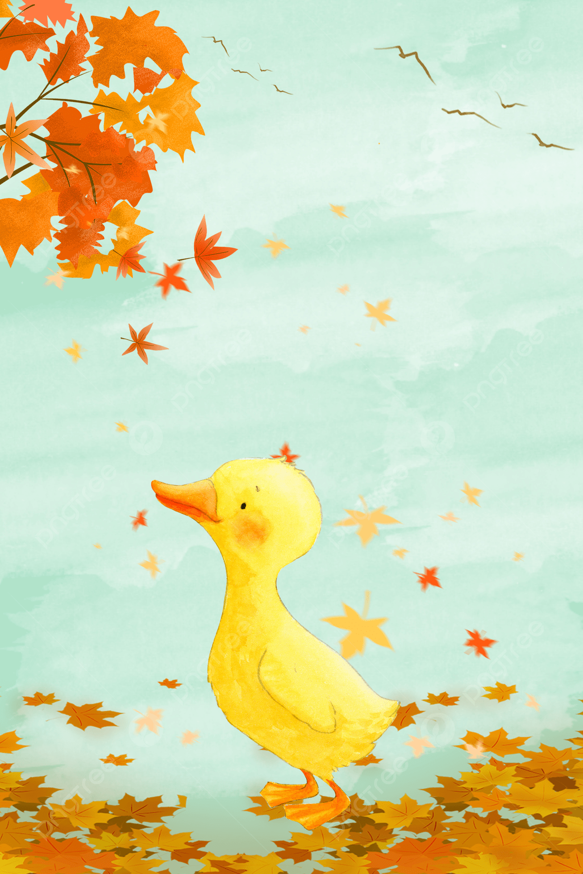 A duck walking in the fall leaves - Duck