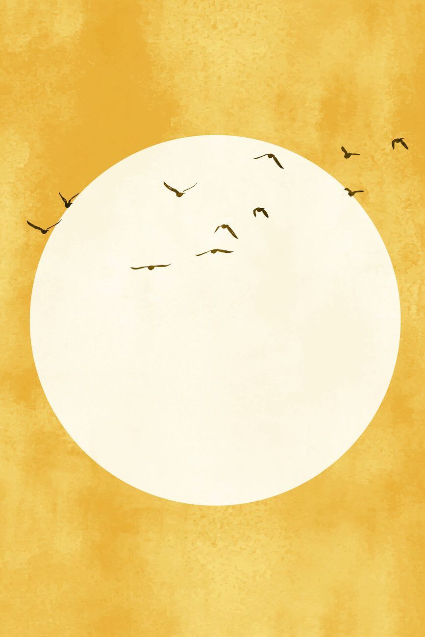 A group of birds flying in the sky - Sunshine