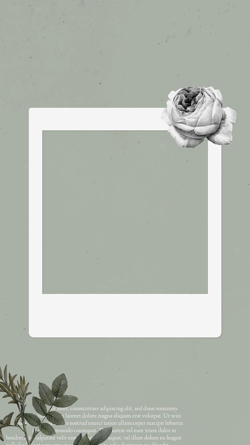 Photo Frame Aesthetic Image Wallpaper