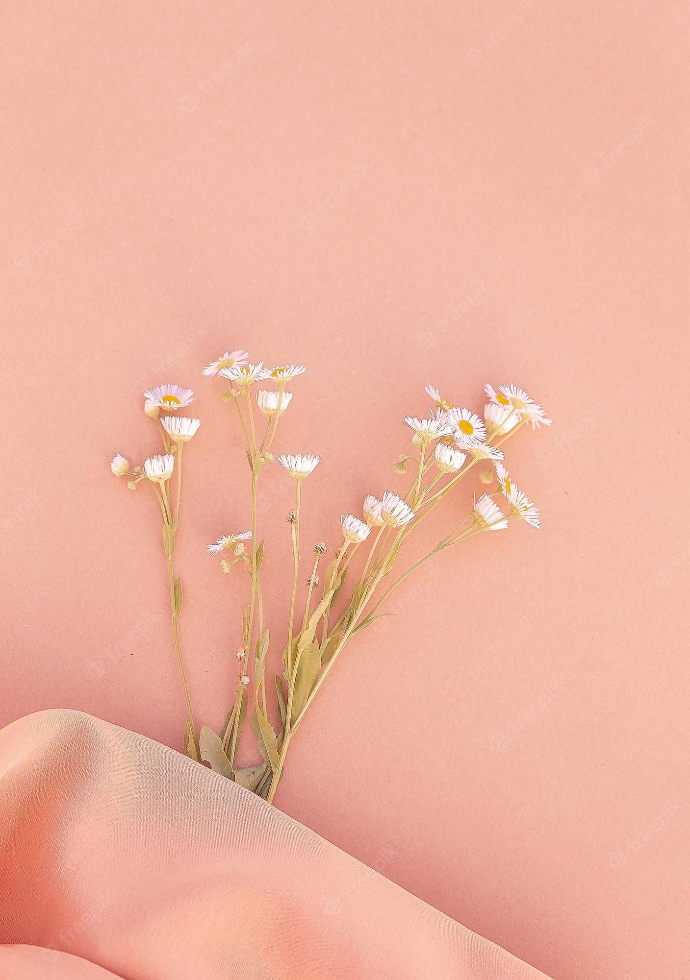 A bouquet of daisies on a pink background - Spring, pink