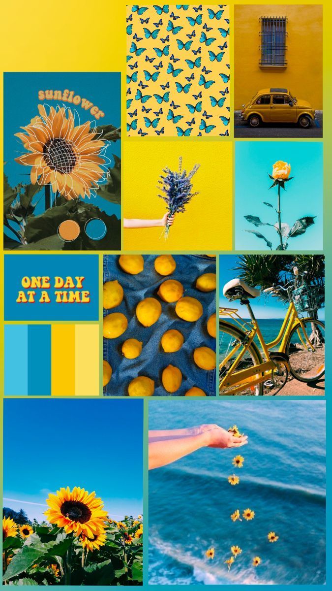 One day at a time, with a bright and cheerful mood board featuring yellow and blue colors, with a bicycle, sunflowers, and butterflies. Aesthetic mood board for summer sunshine. - Sunshine