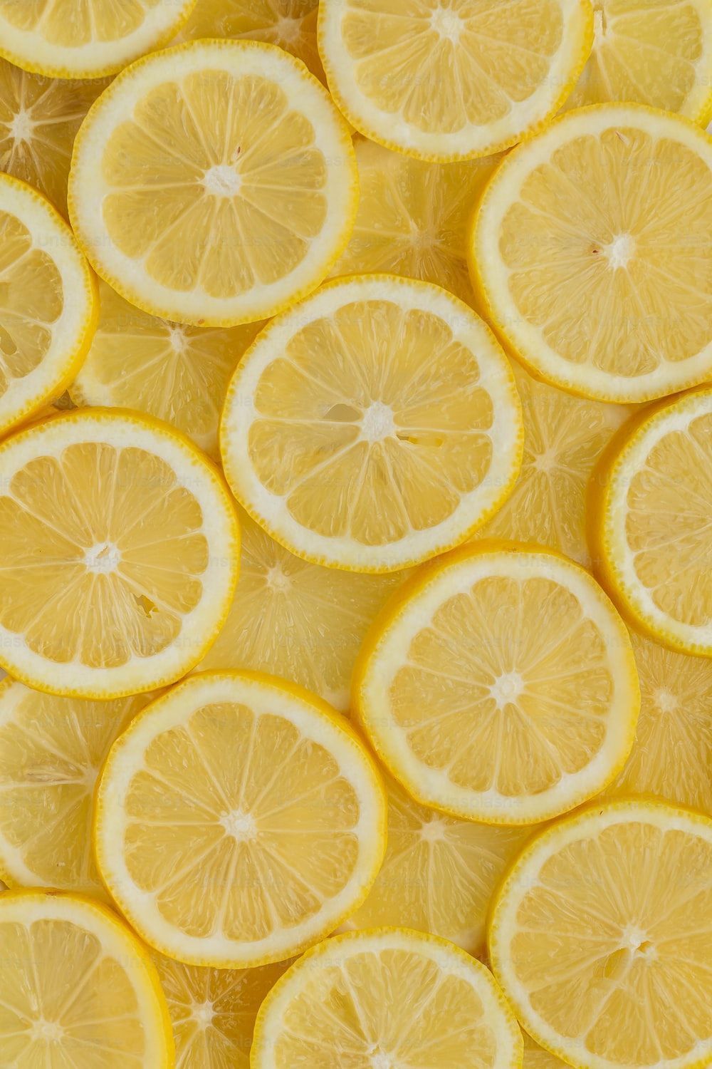 A close up of many slices from lemons - Lemon