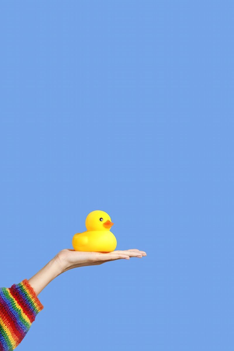 A person holding up an object in front of their face - Duck