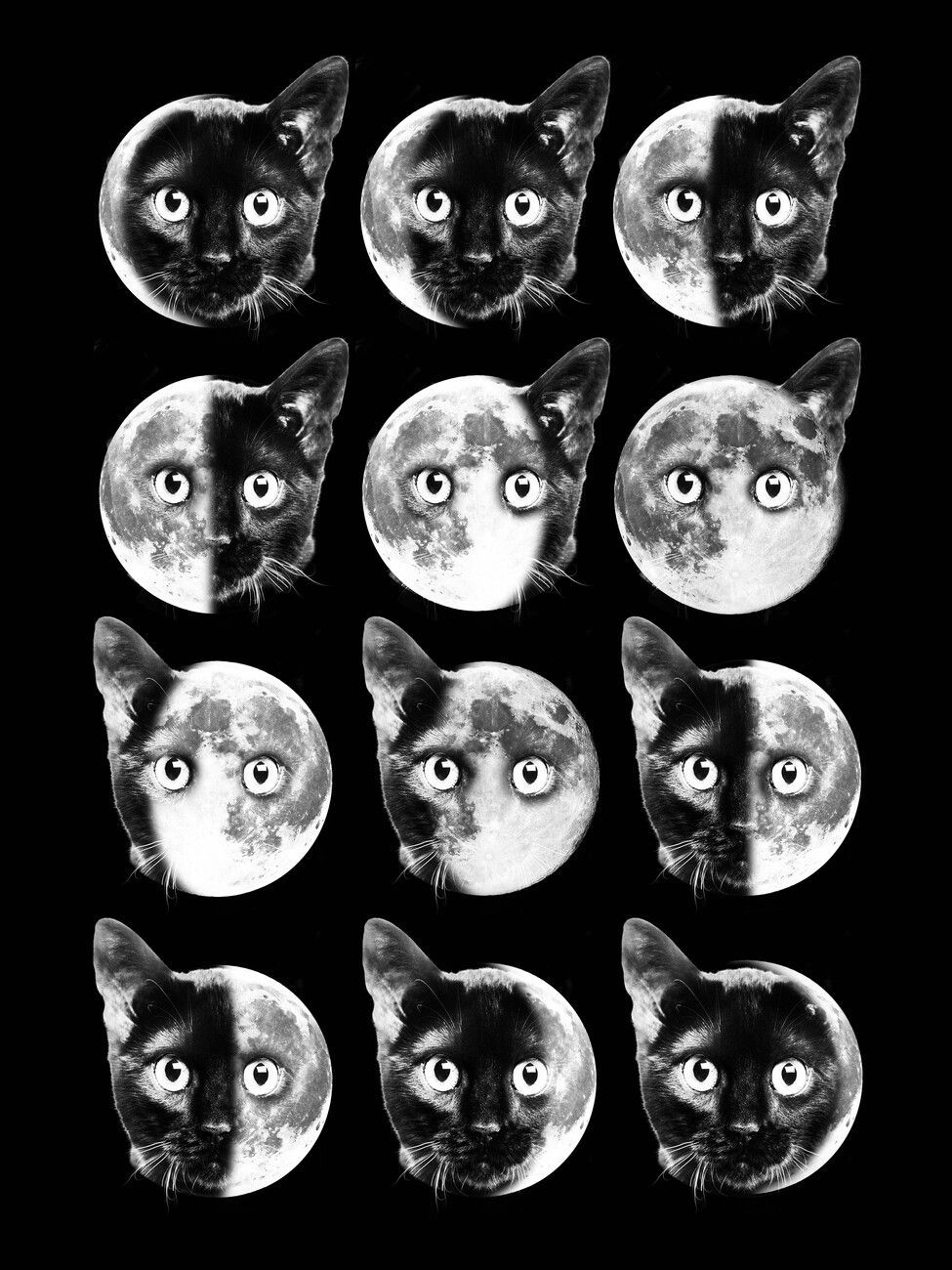 Cat Moon Phases Wall Mural