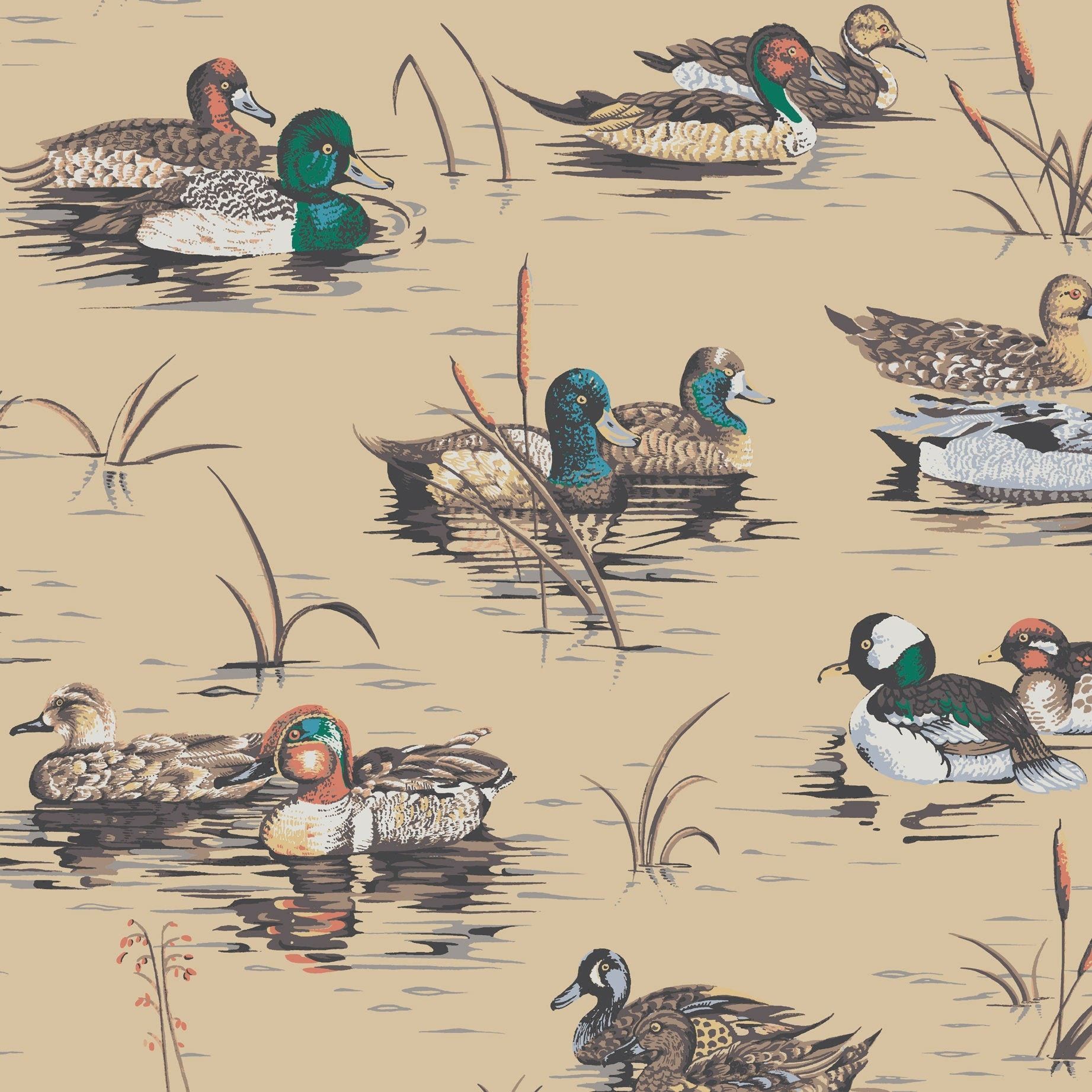 This cotton duck fabric features a waterfowl pattern with mallards, wood ducks, and teal ducks in a pond. - Duck