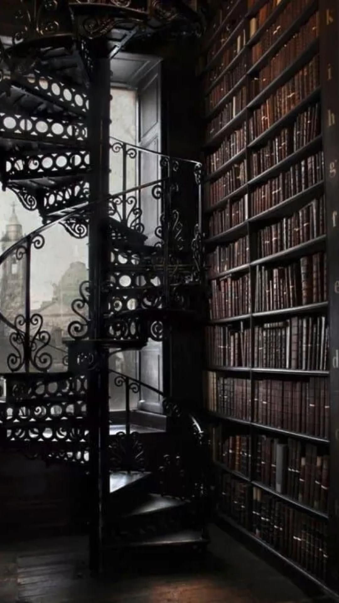 Dark Academia Library Aesthetic (Google Image). Ravenclaw aesthetic, Aesthetic dark academia, Slytherin aesthetic