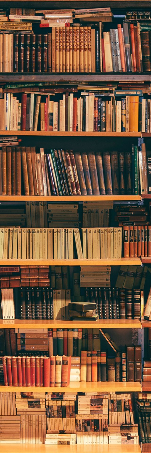 A bookshelf full of books with many different colors. - Library