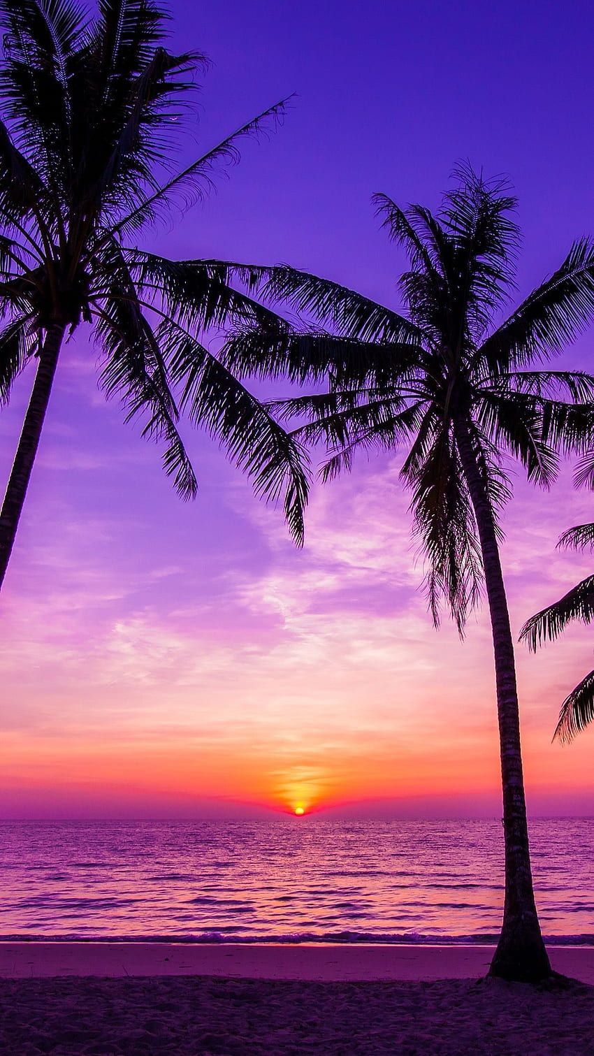 A sunset over the ocean with palm trees - Tropical, Hawaii