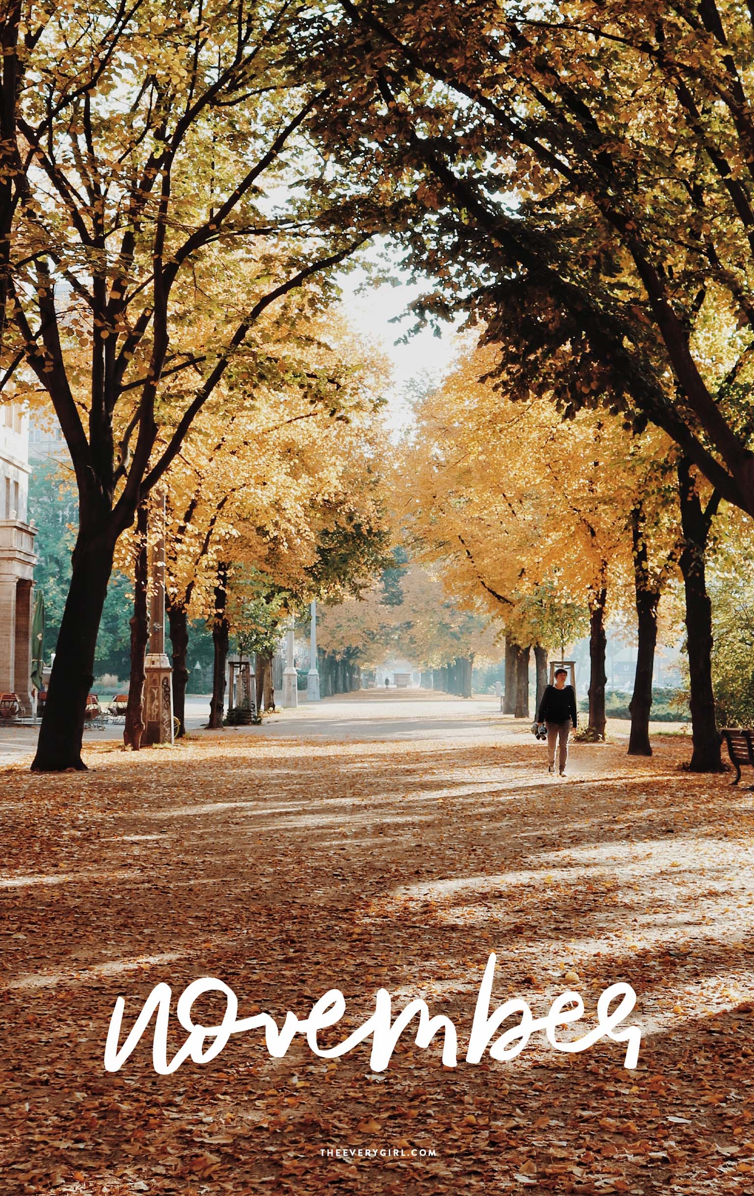 A photo of an autumn scene with the words november - November