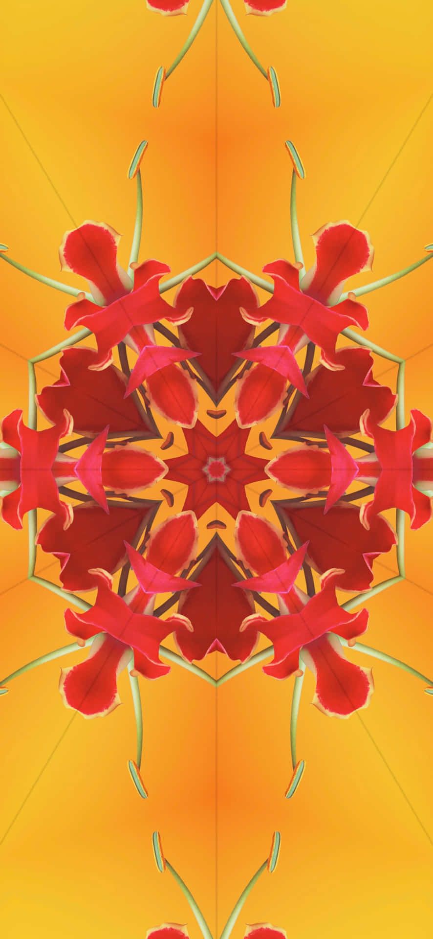 A red and yellow flower pattern - IOS 17