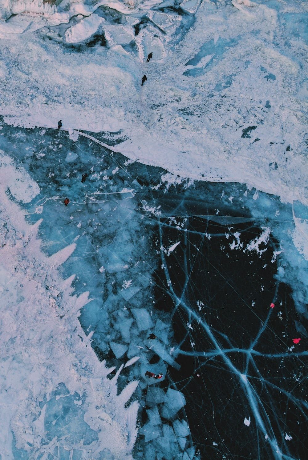A bird flying over the snowy landscape - Ice