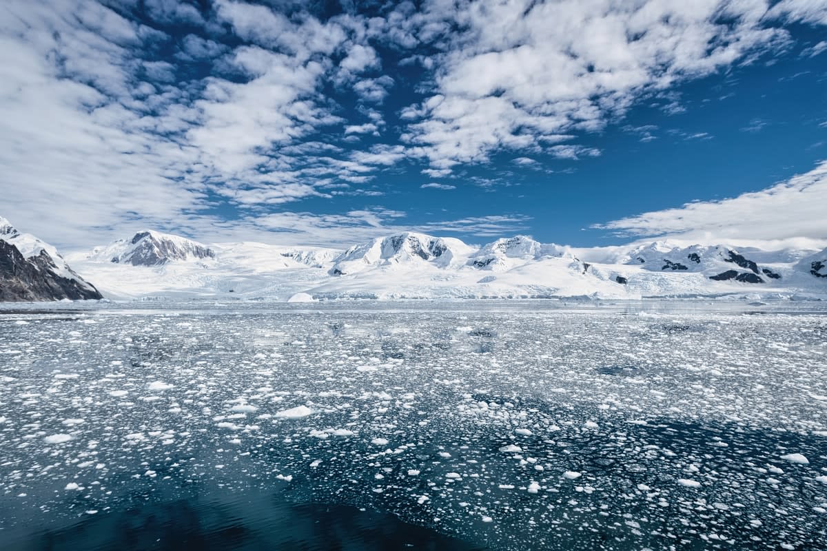 Antarctica: A Once Quiet Neighbour Now Becoming Unruly