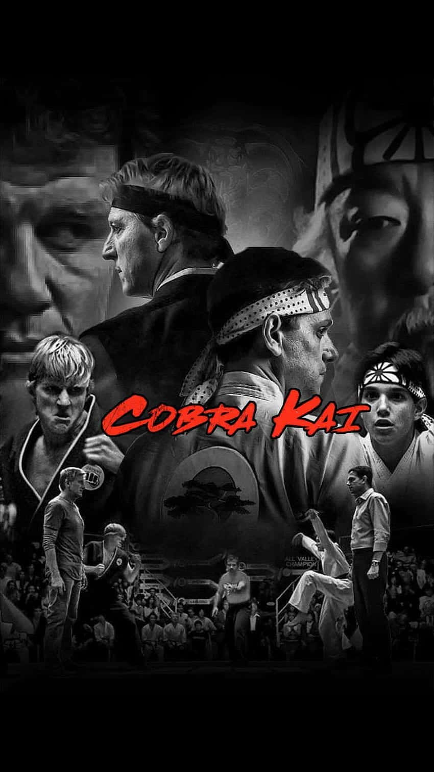 Cobra Kai iPhone Xr Background s