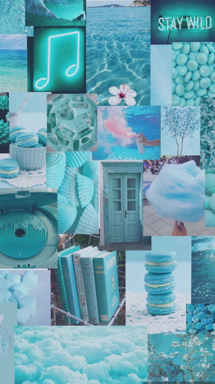 A collage of pictures with the words stay wild - Teal, turquoise