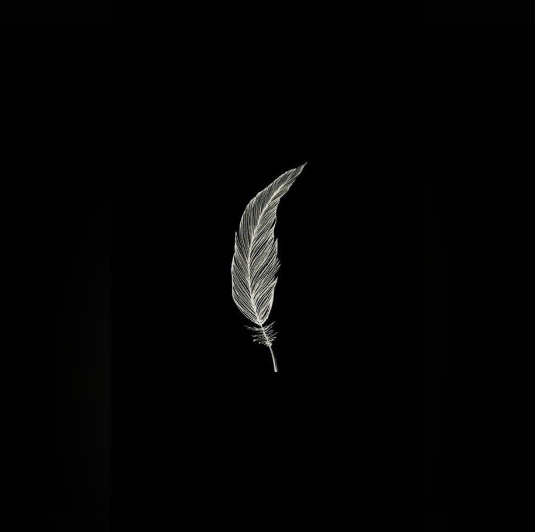 A white feather on a black background - Feathers