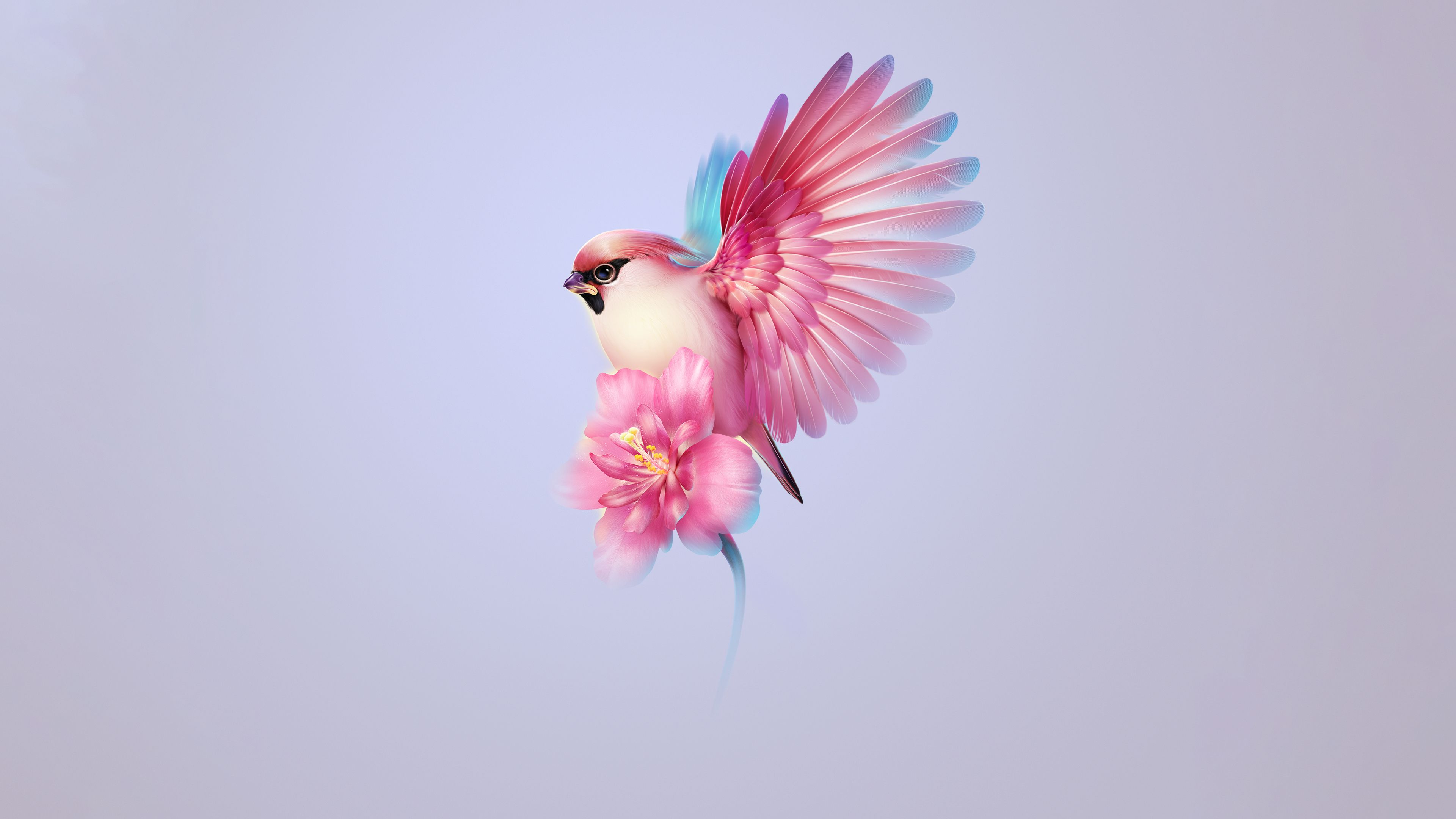 Bohemian waxwing Wallpaper 4K, Aesthetic, Pink flower, Girly