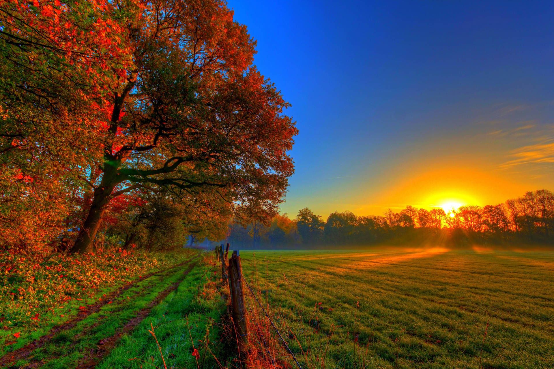 Download Take in the gorgeous colors of a sunset fall farm. Wallpaper