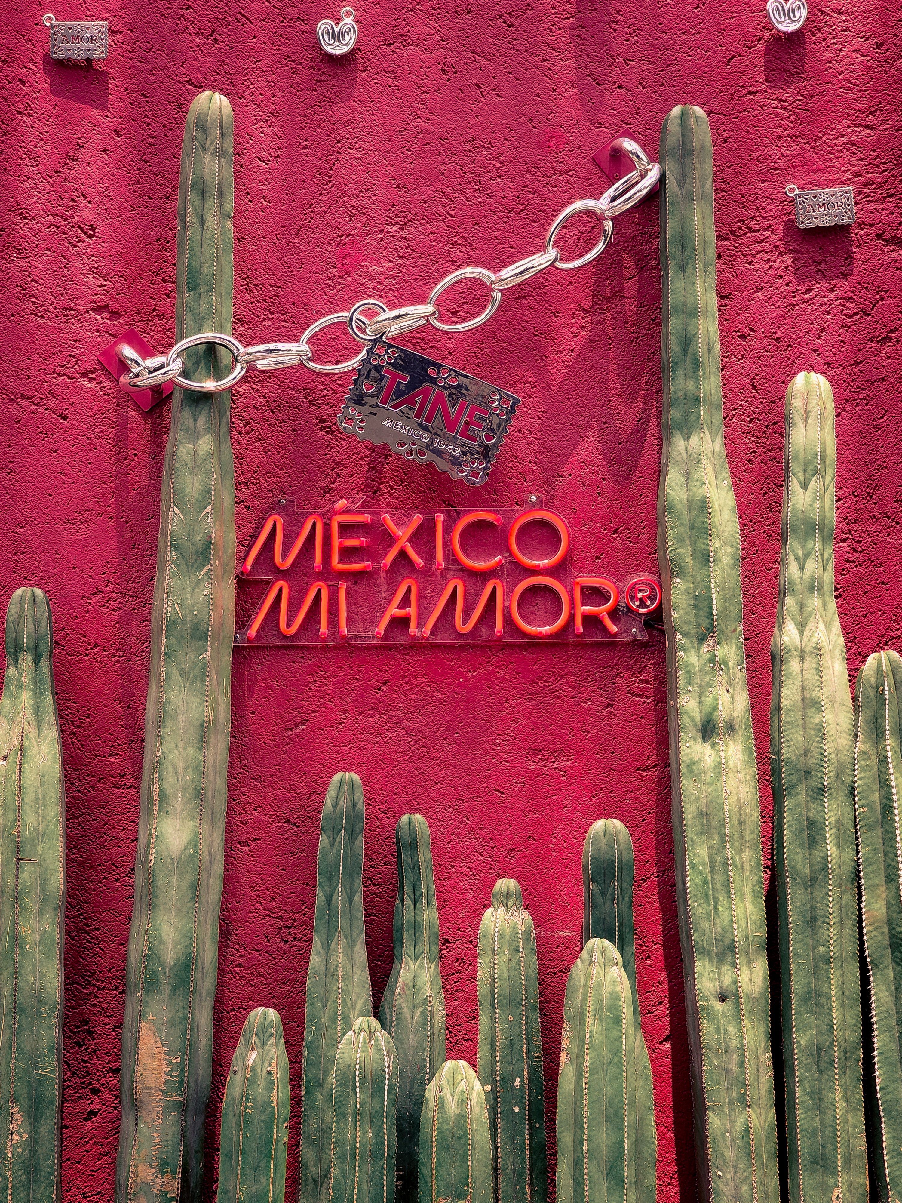 Mexico Mi Amor Photo, Download The BEST Free Mexico Mi Amor & HD Image
