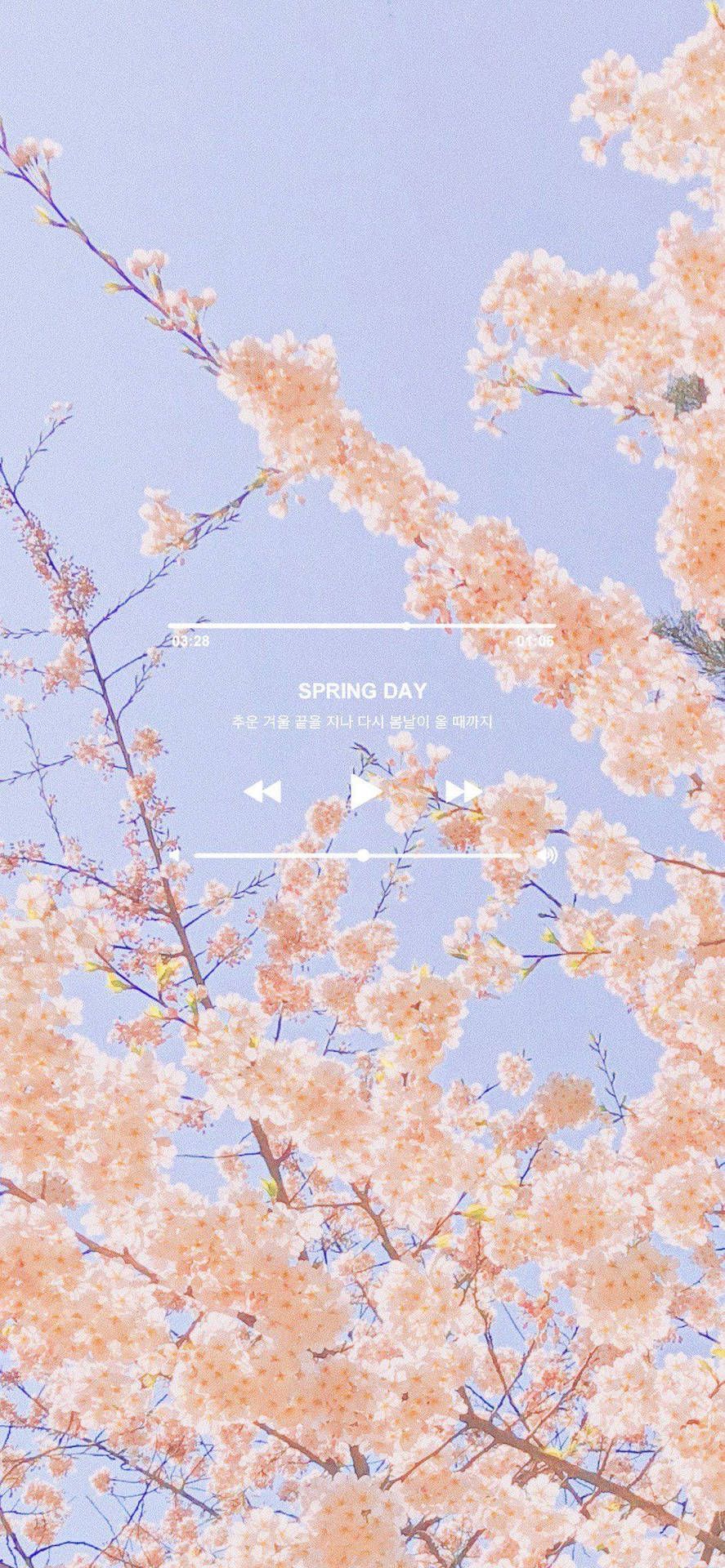 Aesthetic spring wallpaper with a tree and bird - Spring