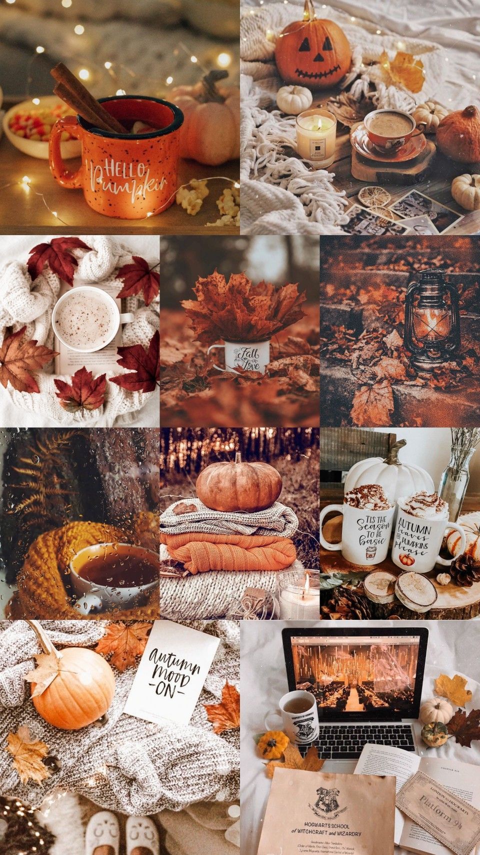 Aesthetic fall wallpaper collage with pumpkins, leaves, and warm beverages. - Thanksgiving