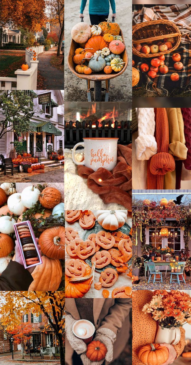 A collage of different images of pumpkins, leaves, and cozy things. - Fall, collage, pumpkin, fall iPhone
