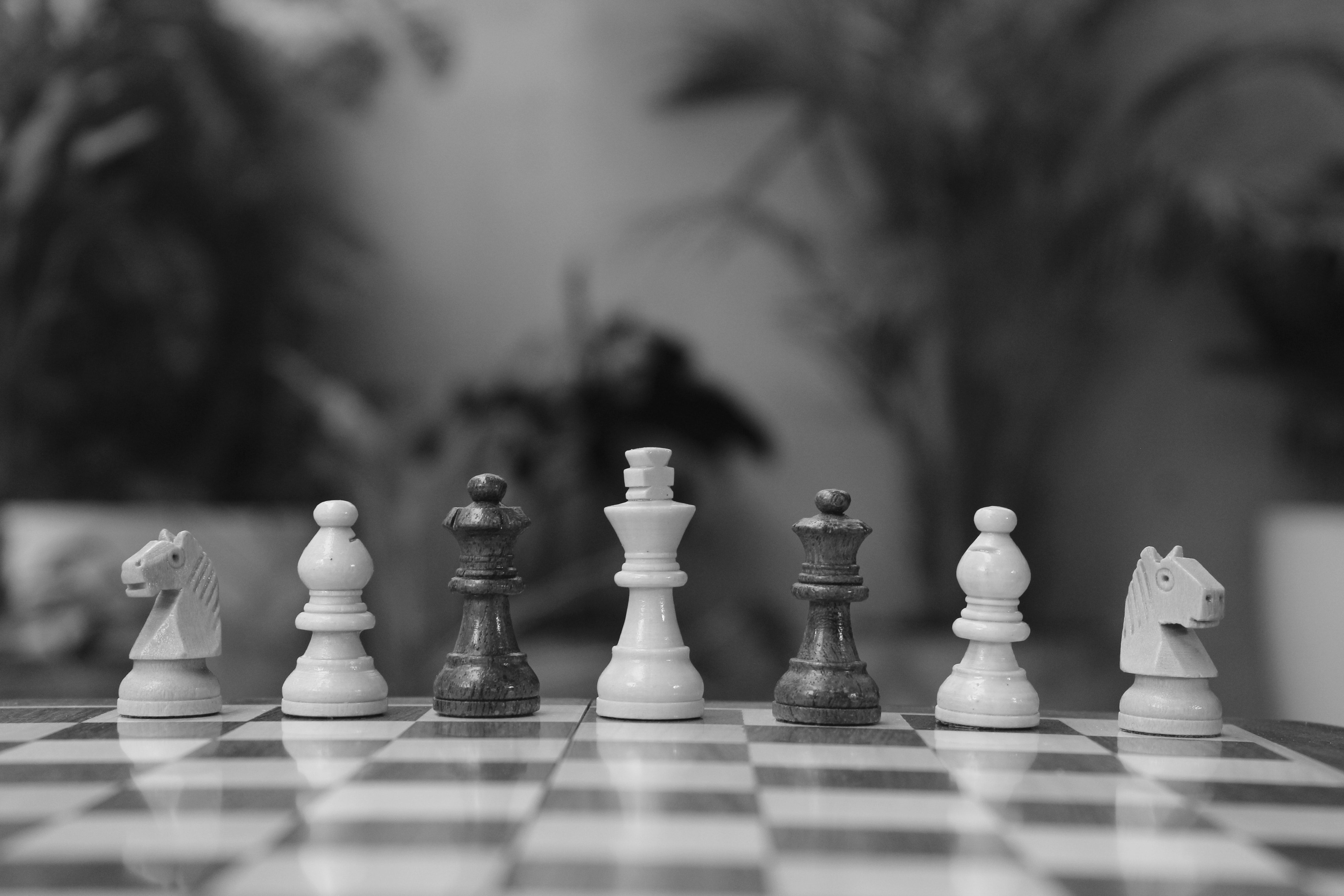 A black and white photo of chess pieces on the table - Chess