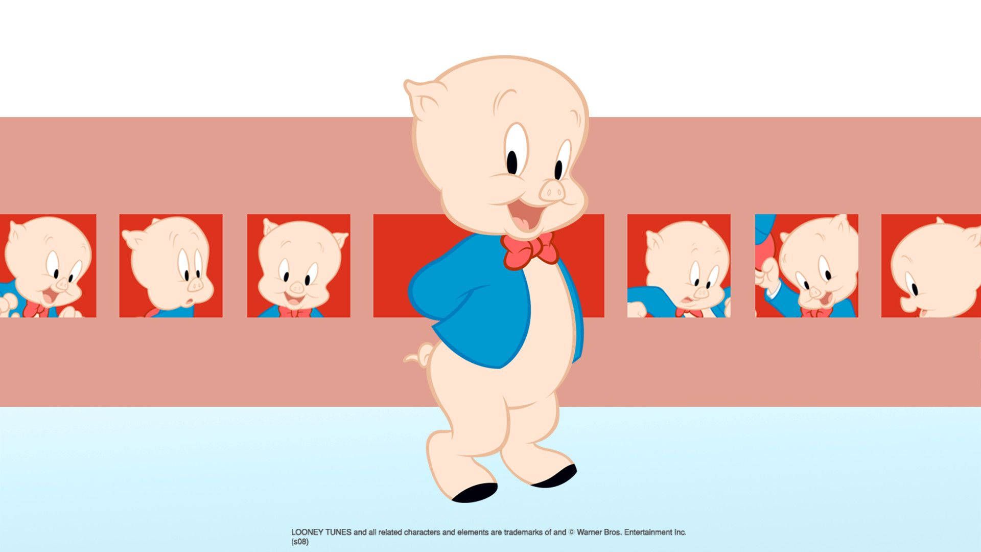 Porky Pig wallpaper - 1080p, 2560x1440, 1920x1080, 1600x1200, 1366x768, 1280x720, 1024x576, 960x540, 800x450, 640x360 - Looney Tunes