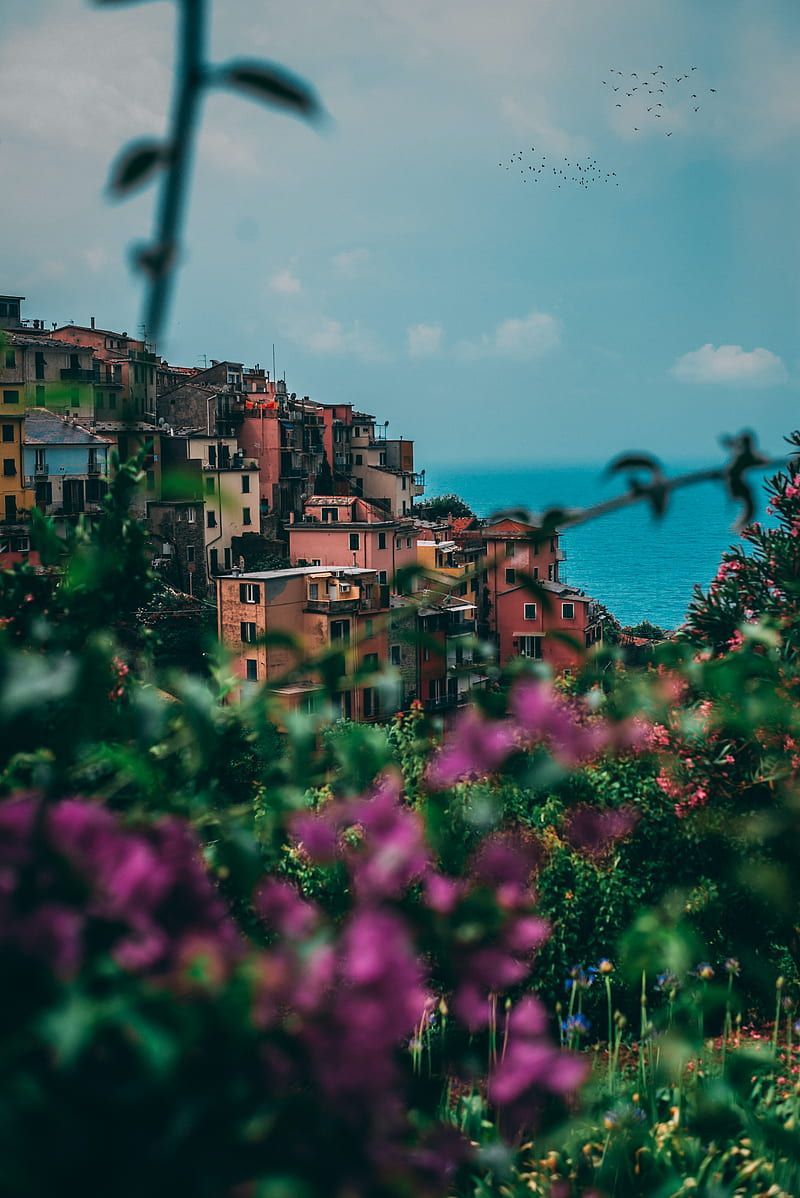 A village on a hillside with flowers in the foreground - Italy