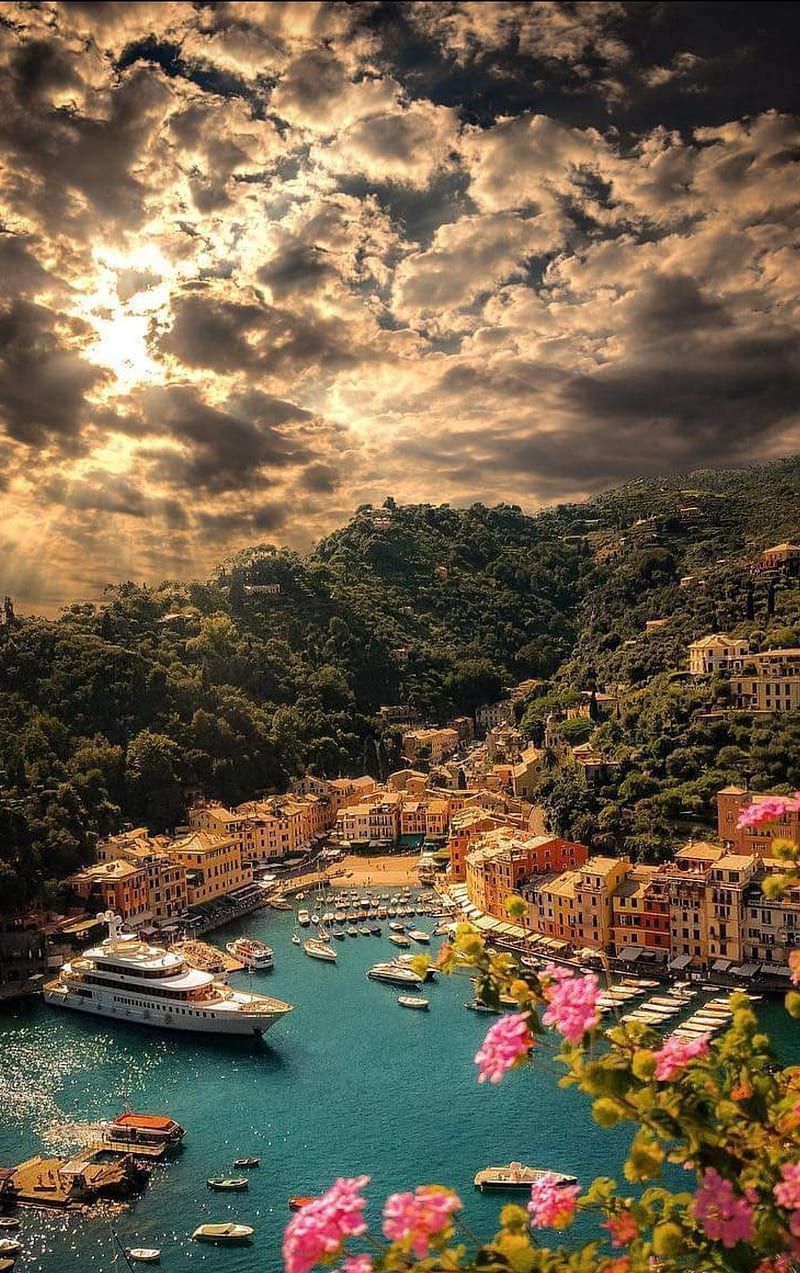 Boats in the harbor of Portofino, Italy - Italy