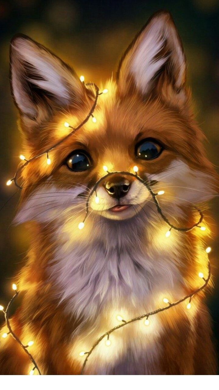 A fox with Christmas lights around its head - Fox
