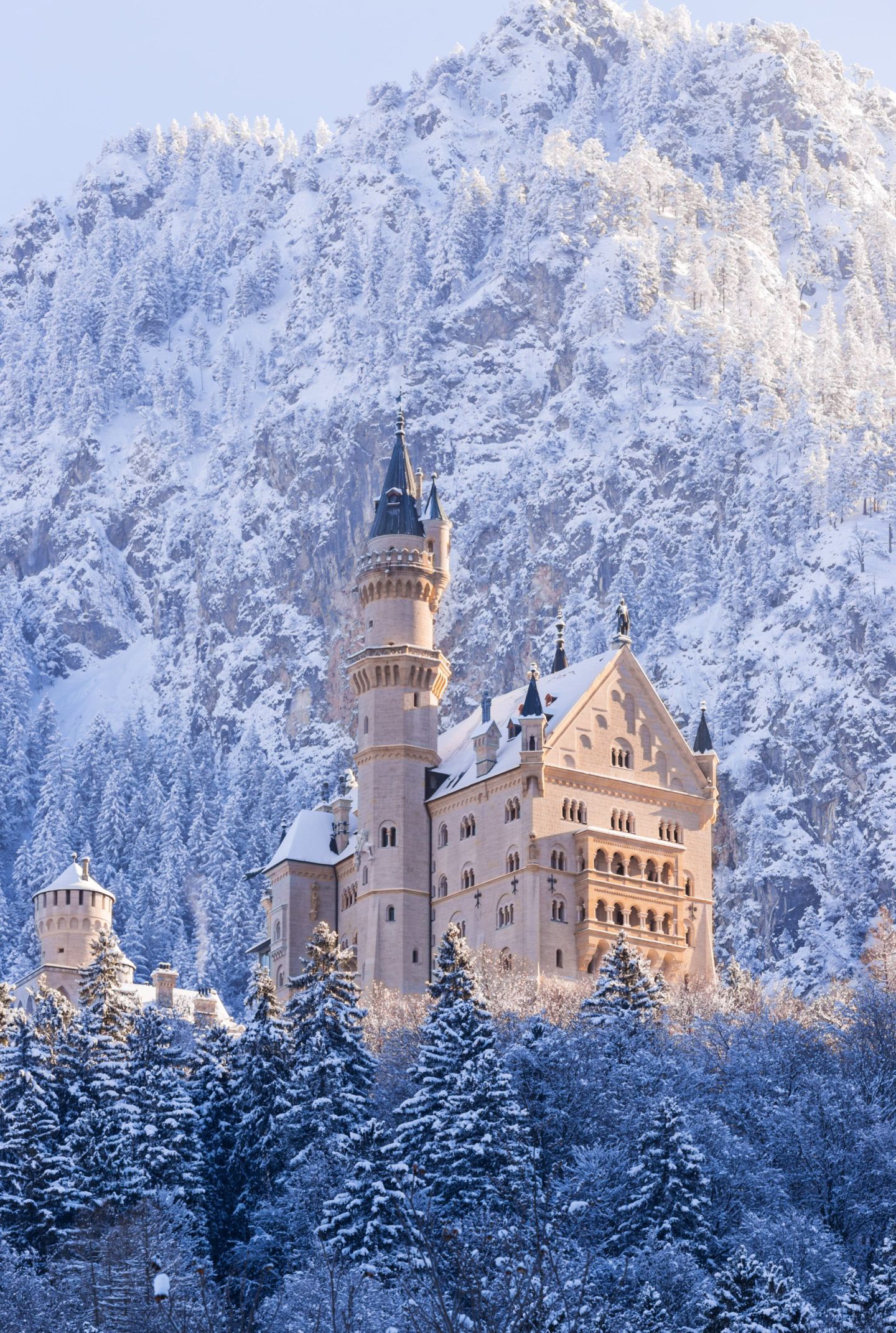 A castle in the mountains with snow on the trees - Castle