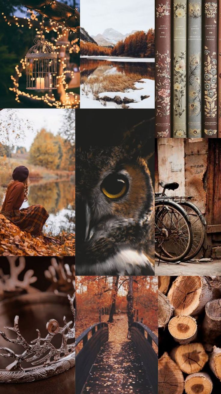 Aesthetic collage with a brown owl, books, bicycle, and leaves. - Magic