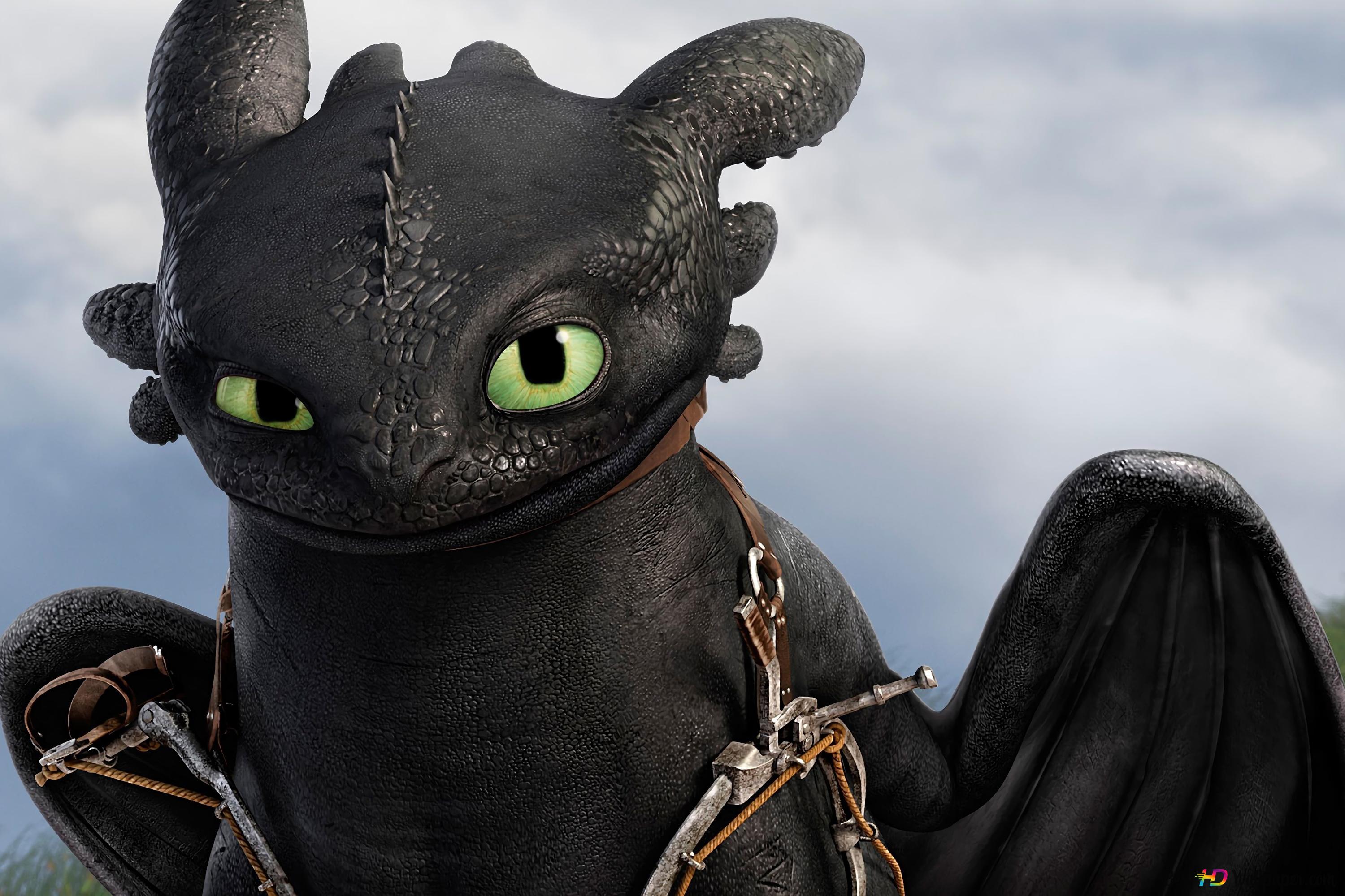 How To Train Your Dragon Hidden World Fury Toothless 4K wallpaper download