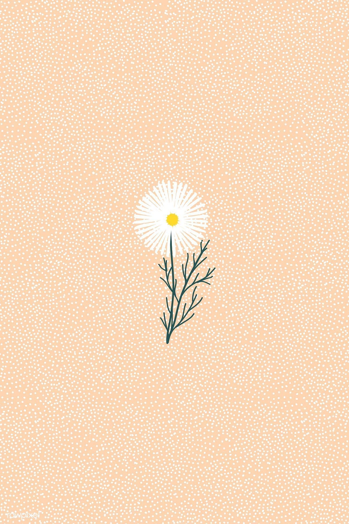 Dandelion on an orange polka dot patterned background vector. premium image by rawpixe. Vintage flowers wallpaper, Vector background pattern, Background patterns