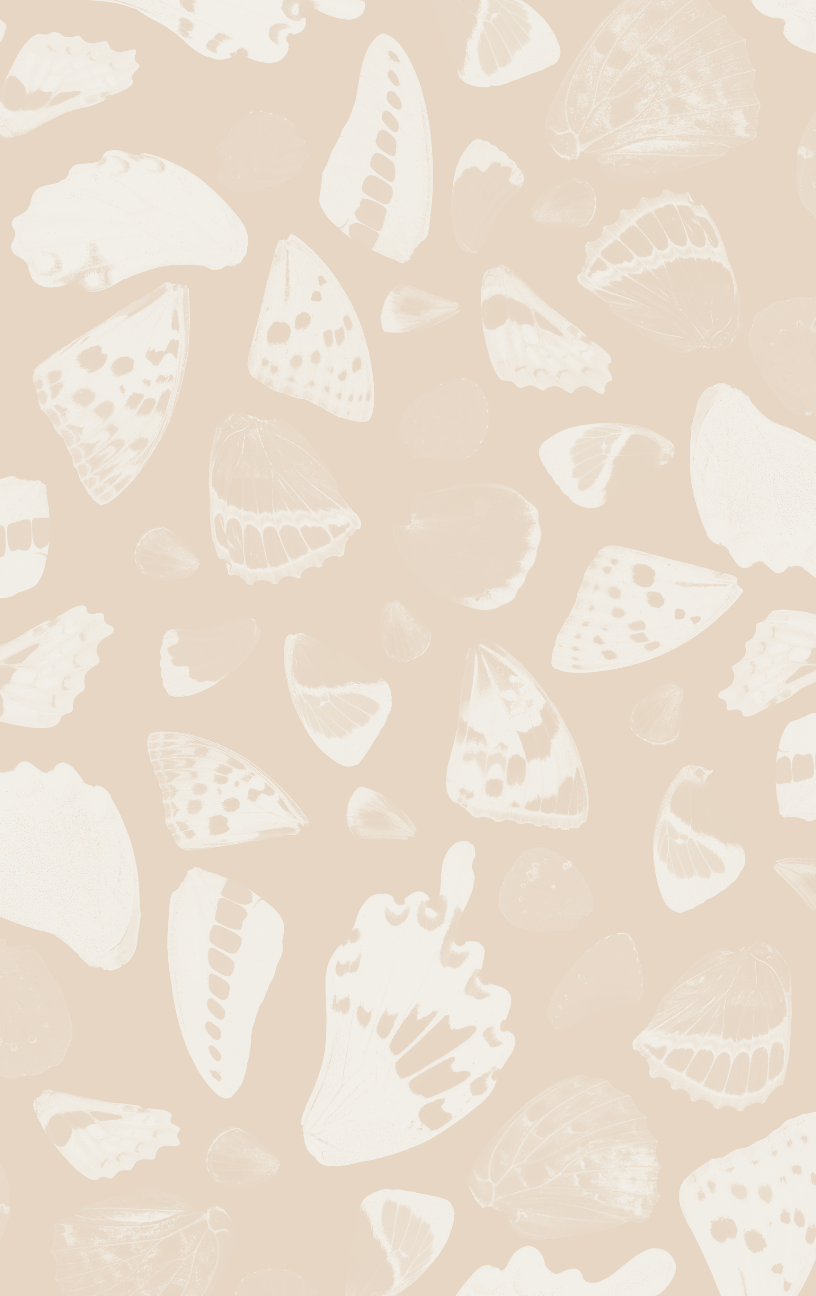 Butterfly Terrazzo Neutral Traditional Prepasted Wallpaper