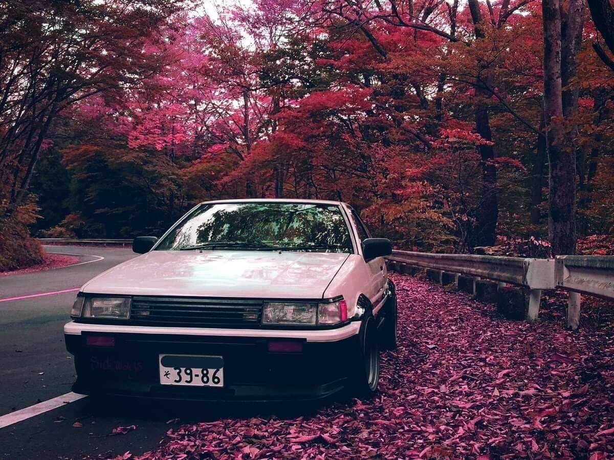 A car parked on the side of the road with pink leaves on the ground - JDM