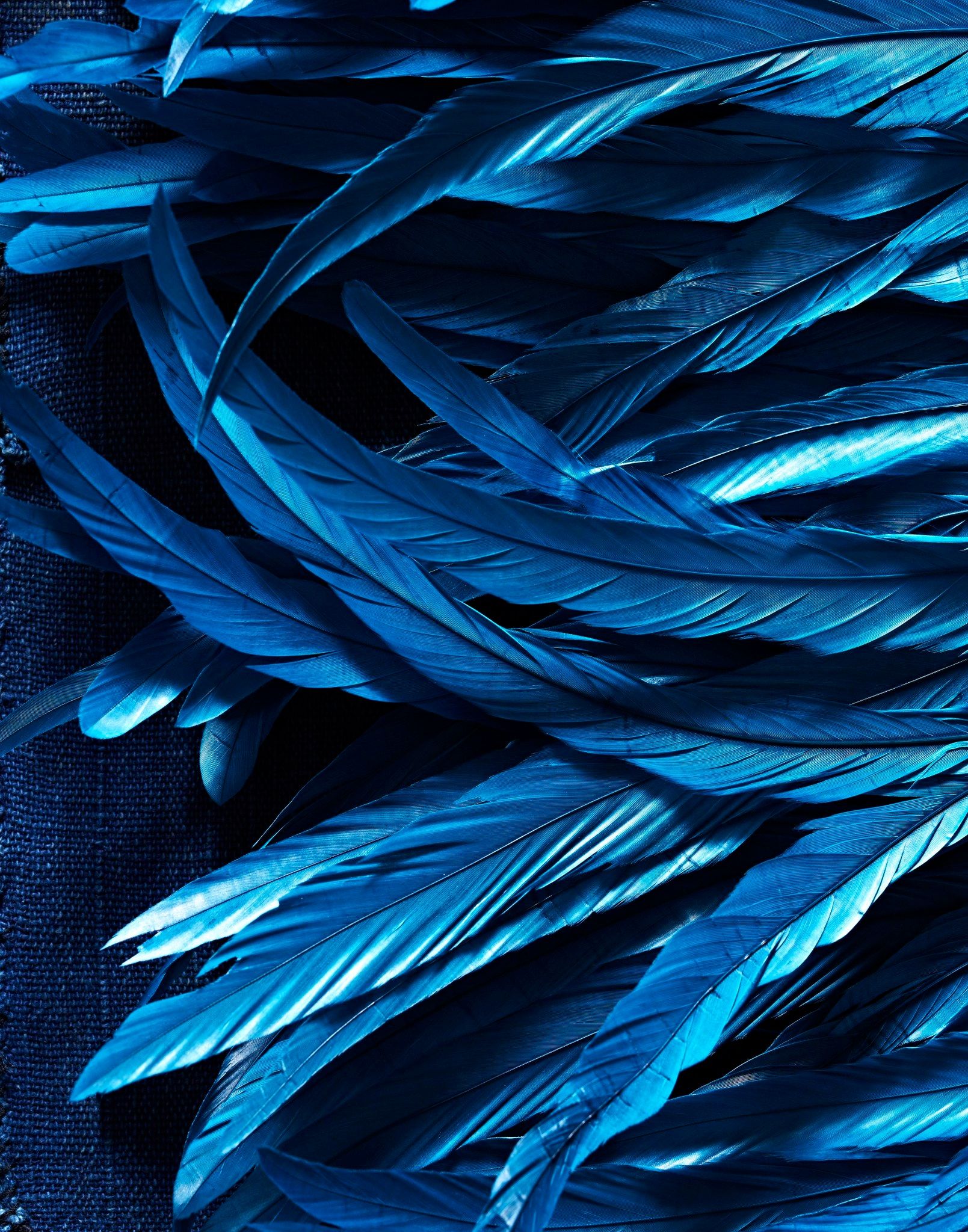 Bluee Aesthetic. Blue Feather Wallpaper Download