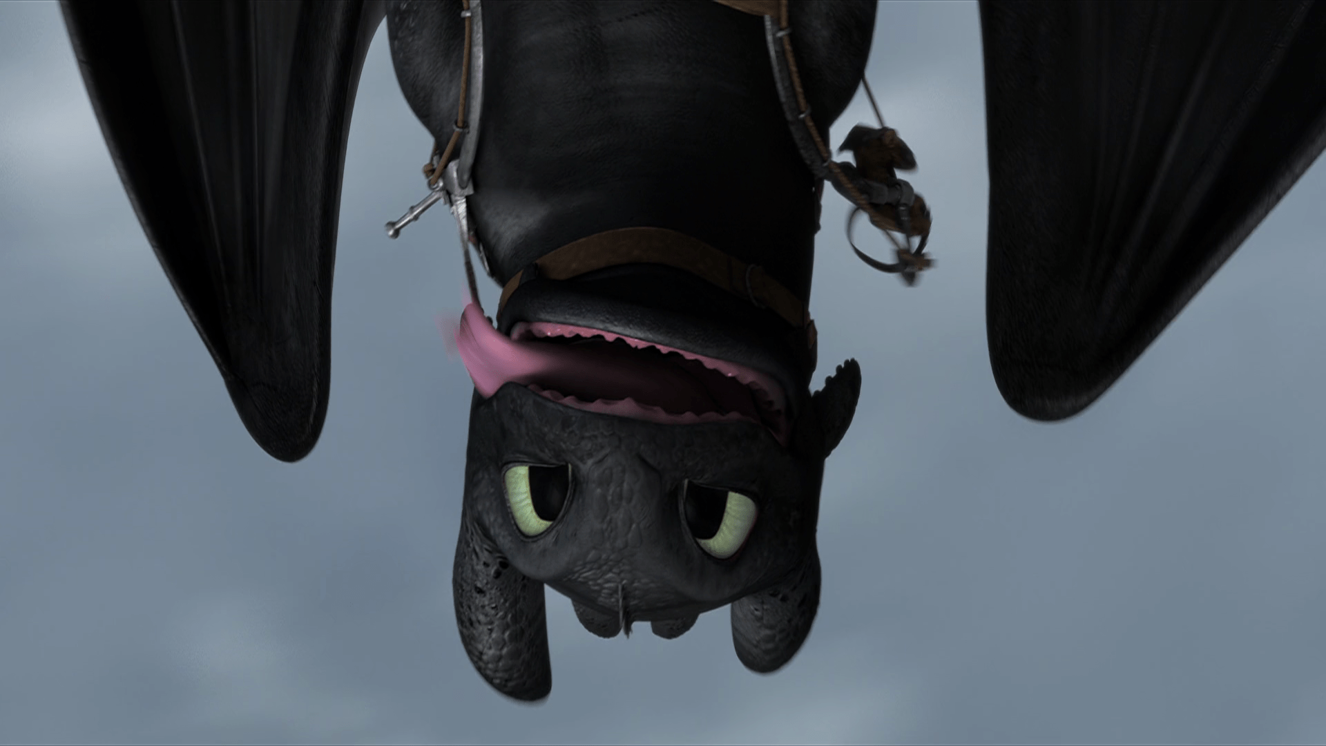 Toothless (How to Train Your Dragon) HD Wallpaper and Background